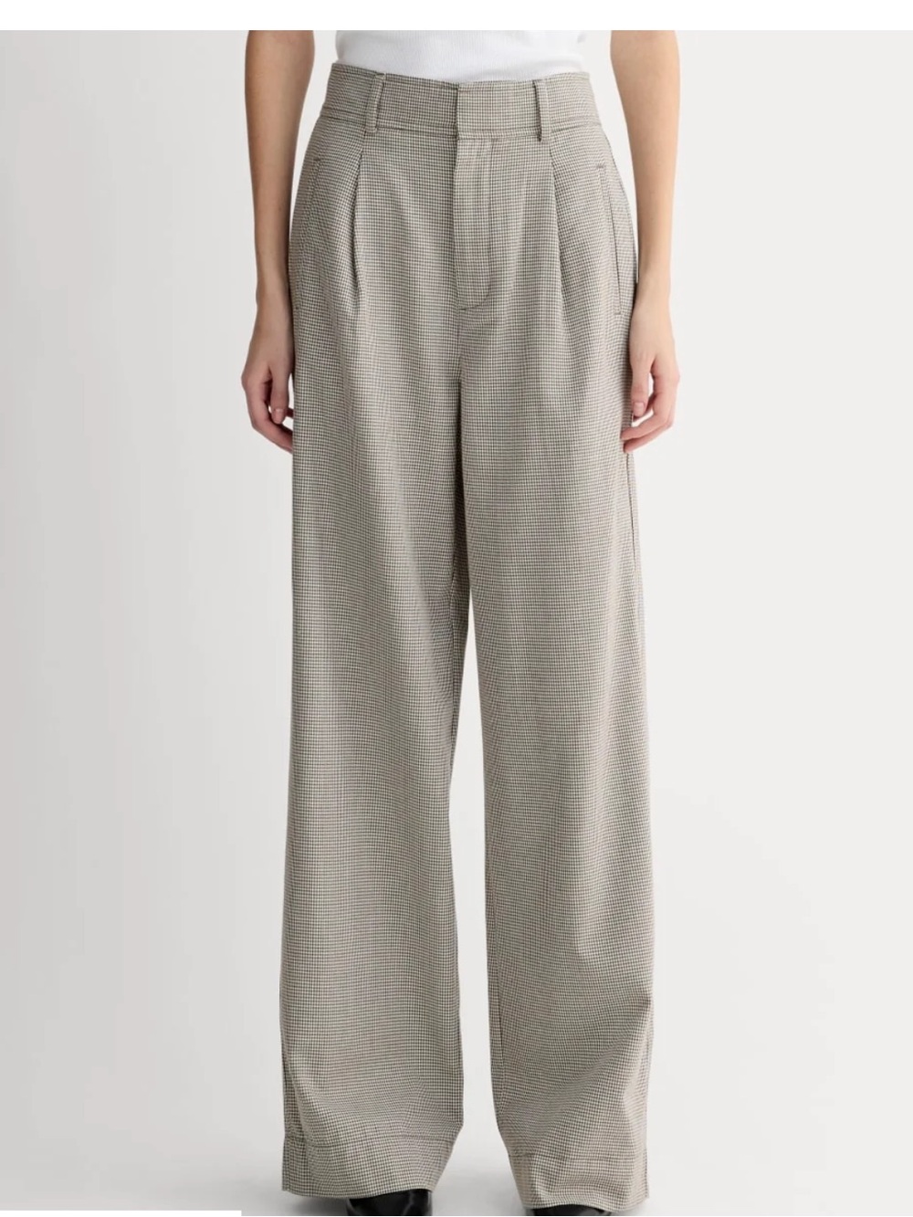 Everlane The Draper Pleated Pant in Buttersmooth Wide-Leg Pants, size 4S